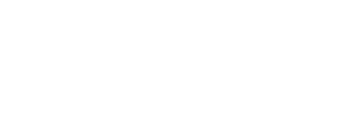 logo-poliba-bianco